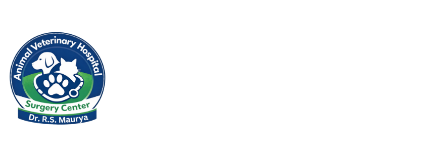 ANIMAL VETERINARY footer